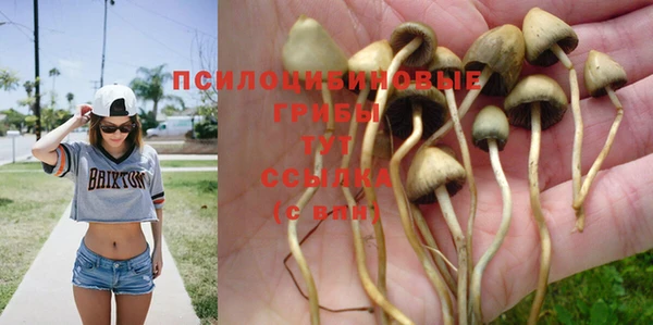 хмурый Нязепетровск